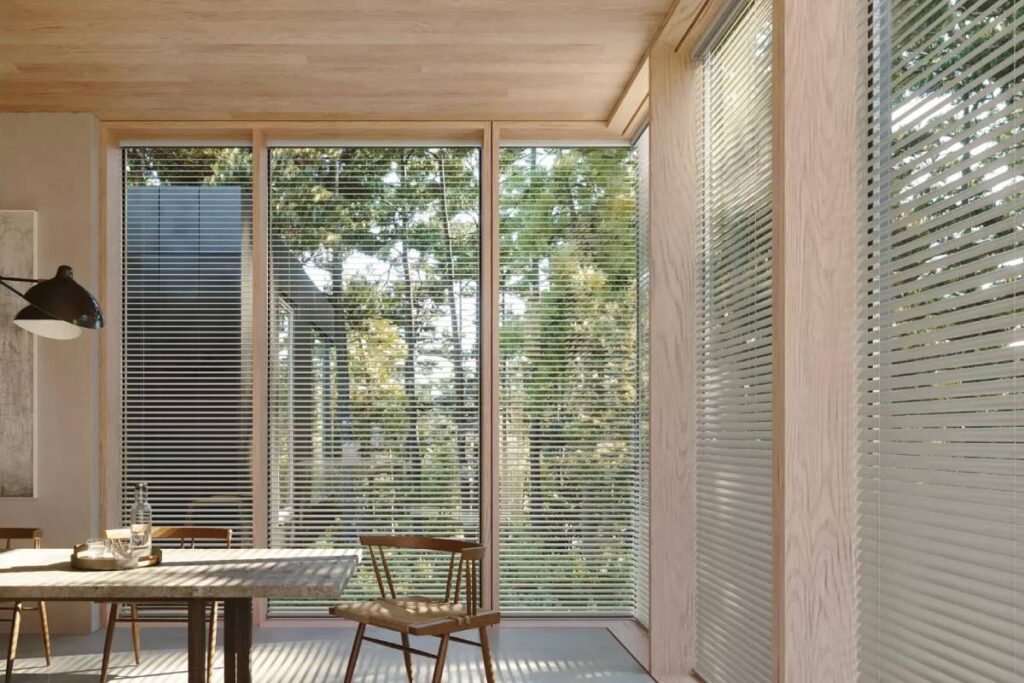 Hunter Douglas Modern Precious Metals® Mini Blinds Open to a Forest View